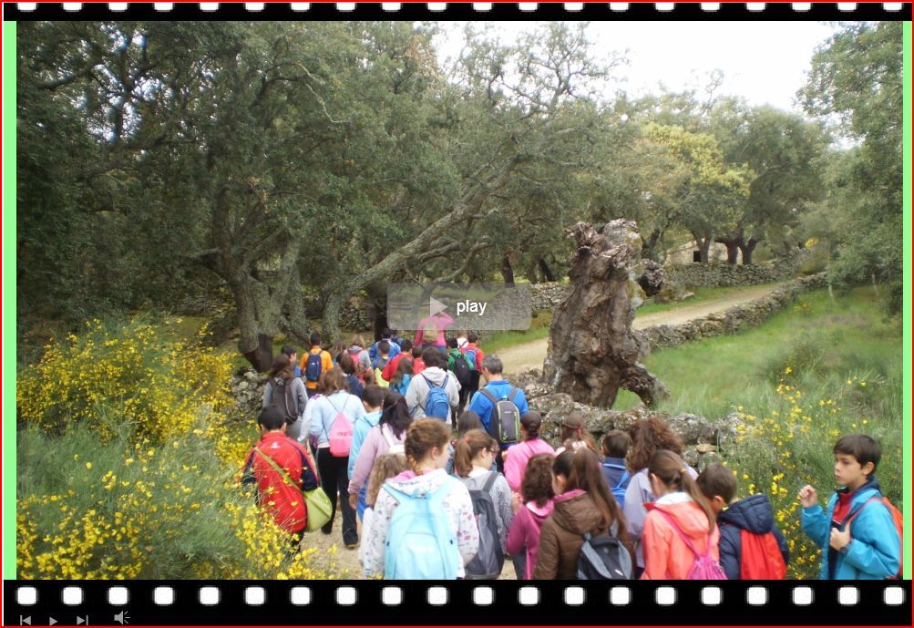 san vicente