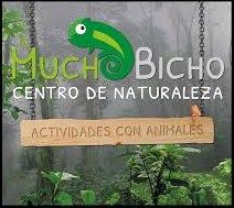mundo bicho