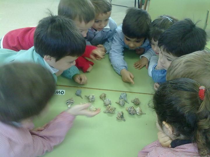 caracolas